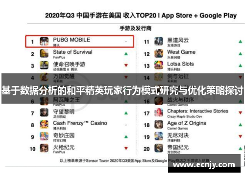 基于数据分析的和平精英玩家行为模式研究与优化策略探讨